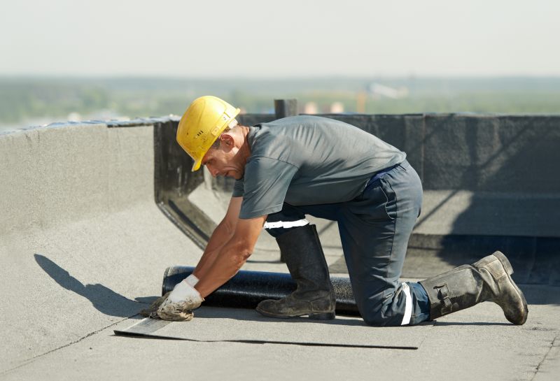 DIY vs Professional Roofing